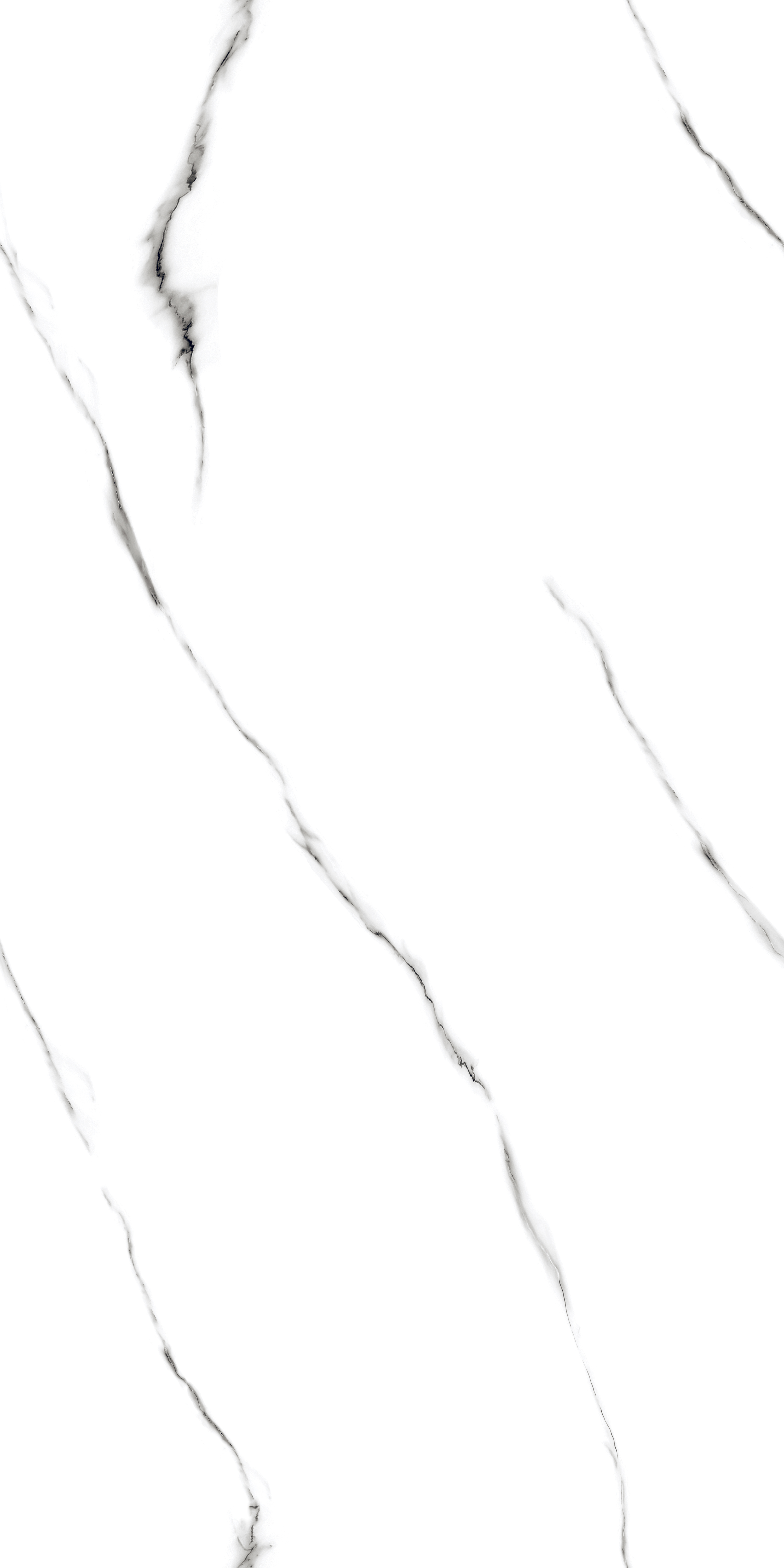 Grid Project Image