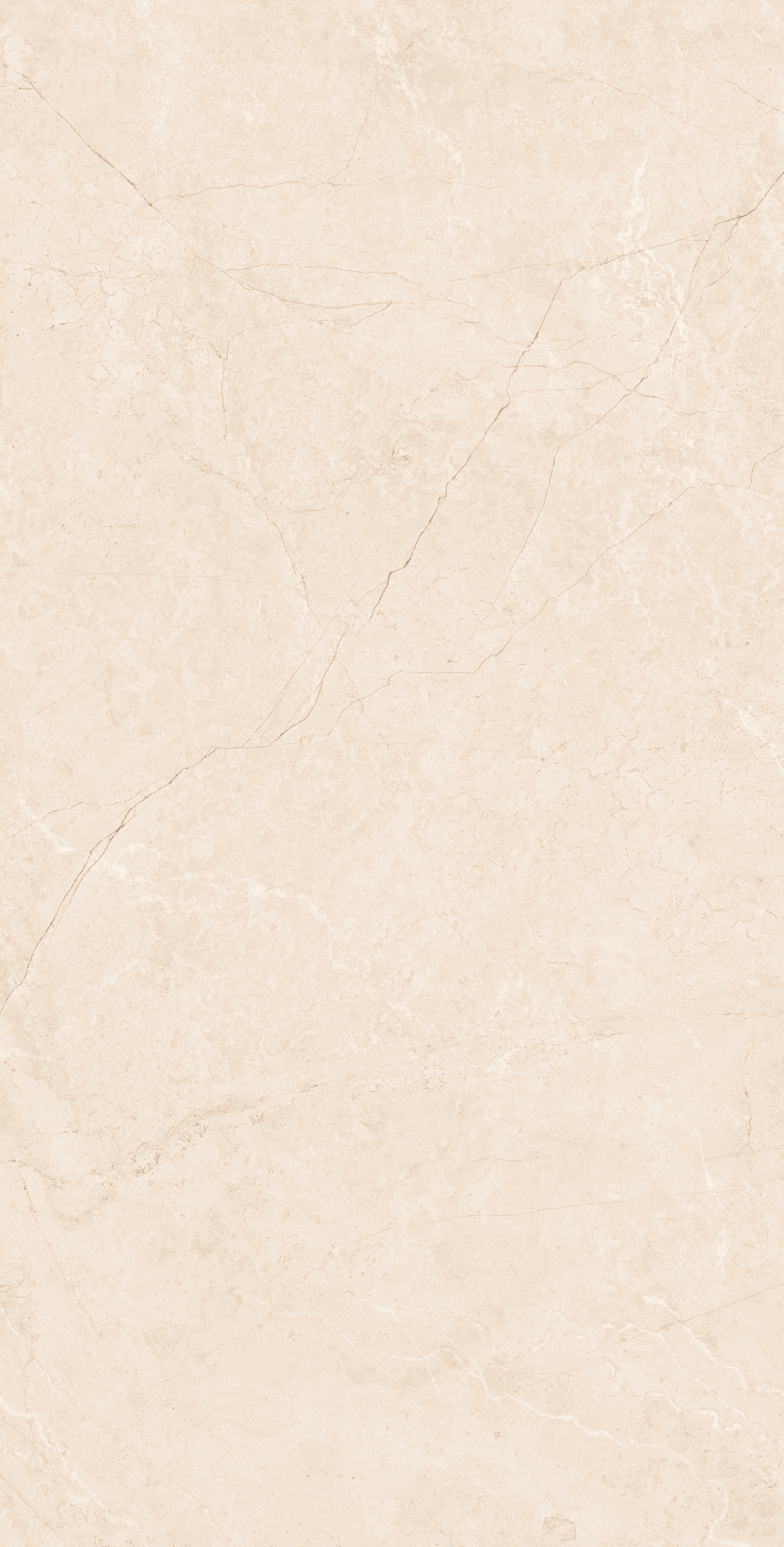Grid Project Image